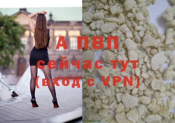 spice Аркадак