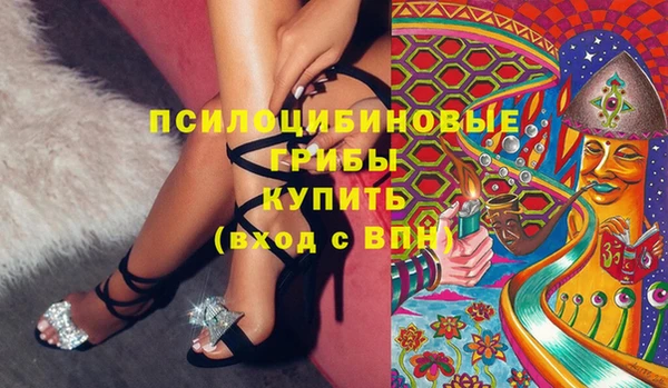 МДПВ Армянск
