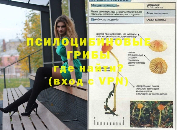 МДПВ Армянск