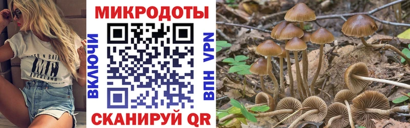 купить закладку  Новый Уренгой  Псилоцибиновые грибы MAGIC MUSHROOMS 